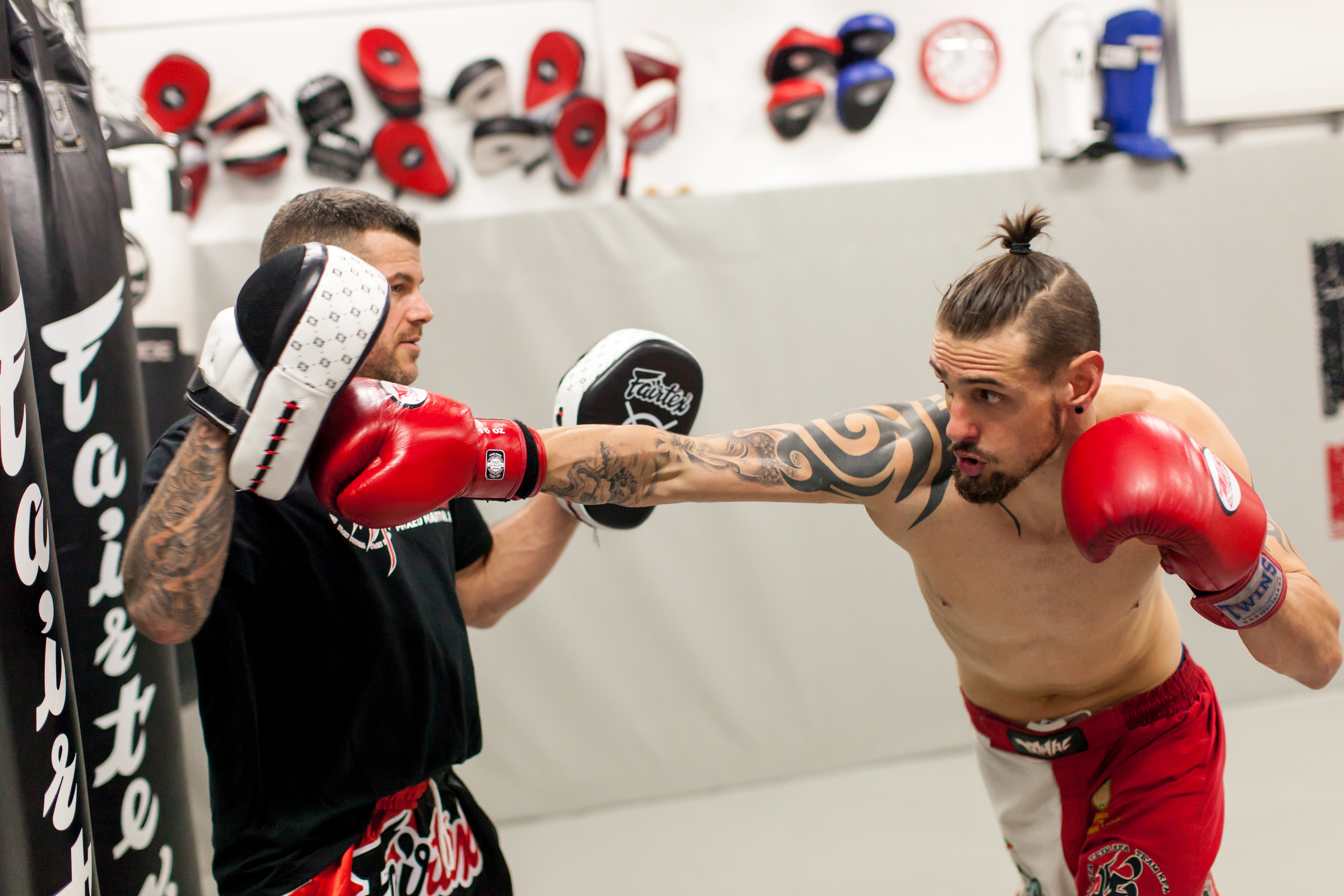 Боксер дома. Boxing Learning.